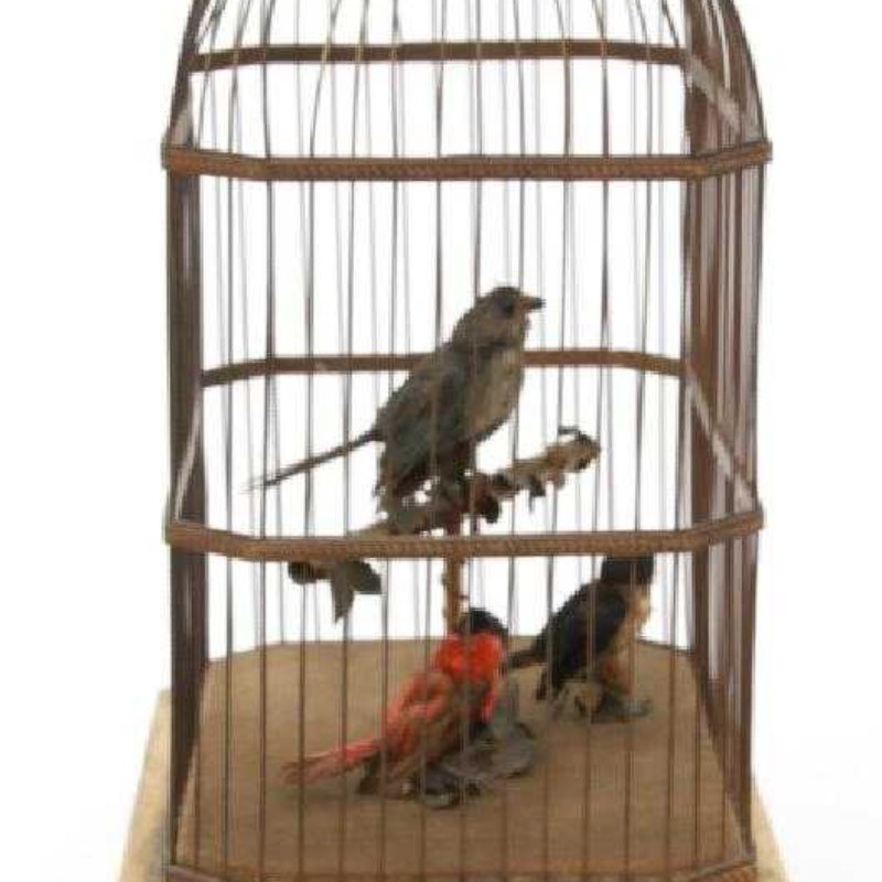 Triple automaton “Singing Birds” in a domed cage — 4