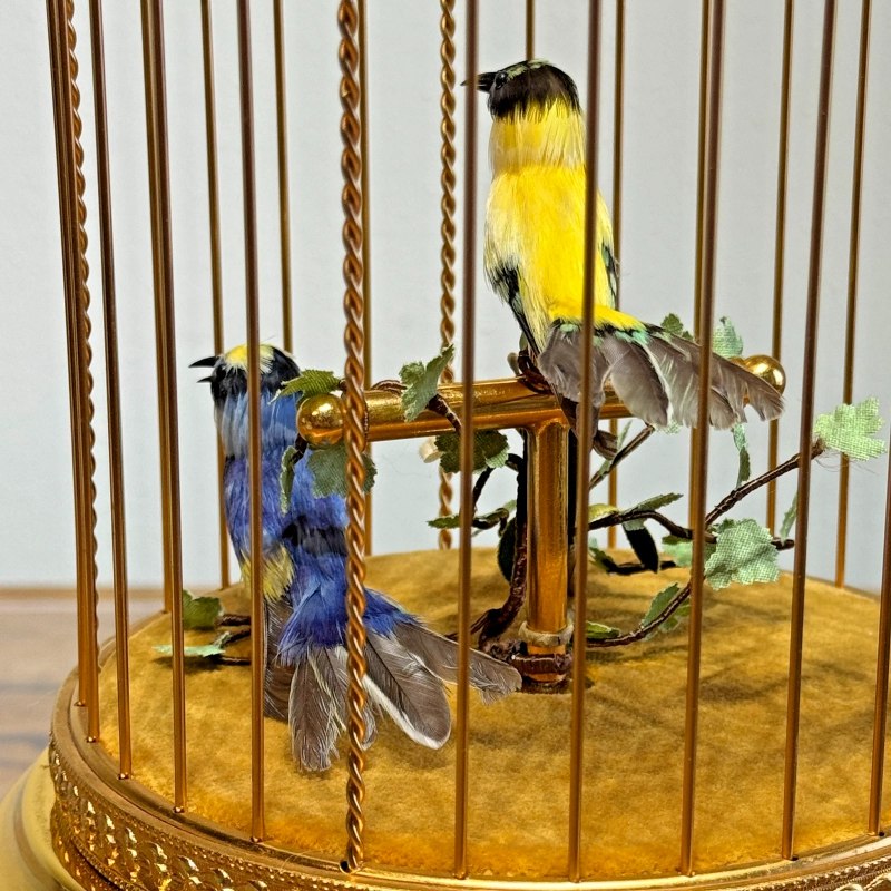 Goldenfinch and blue tit in a Reuge dome cage — 4