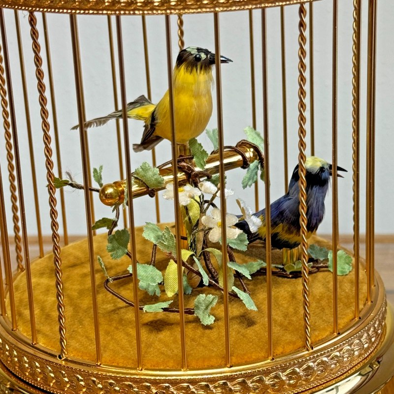 Goldenfinch and blue tit in a Reuge dome cage — 2