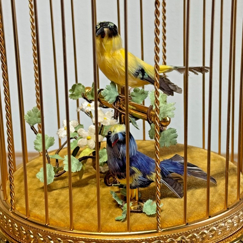 Goldenfinch and blue tit in a Reuge dome cage — 3
