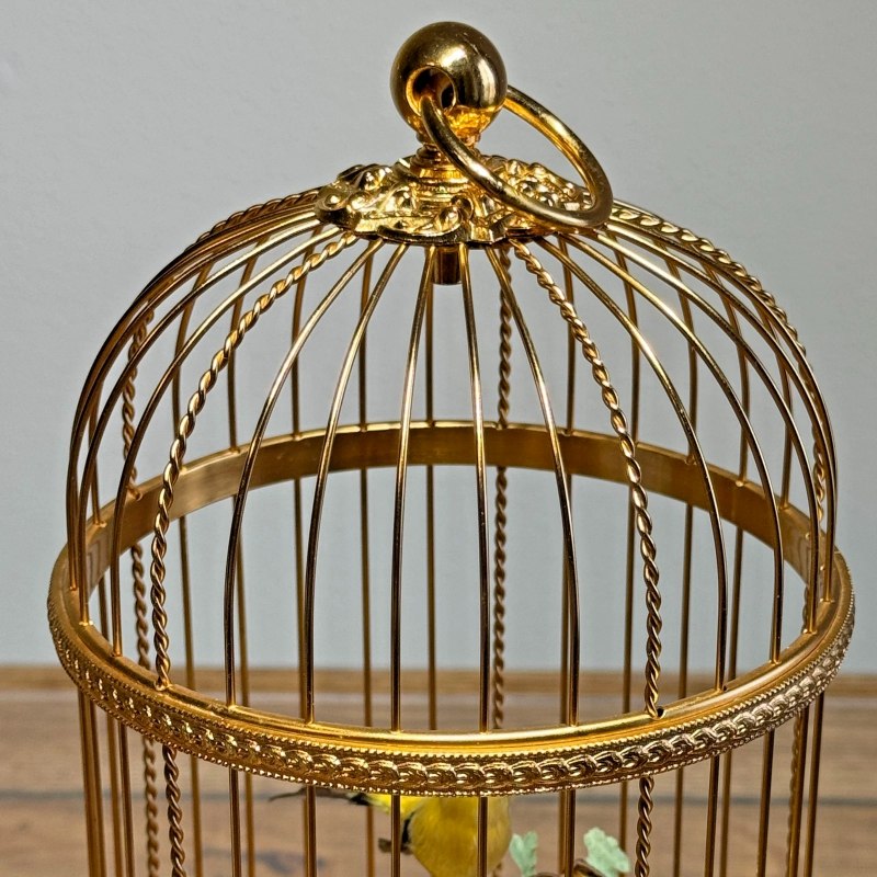 Goldenfinch and blue tit in a Reuge dome cage — 11