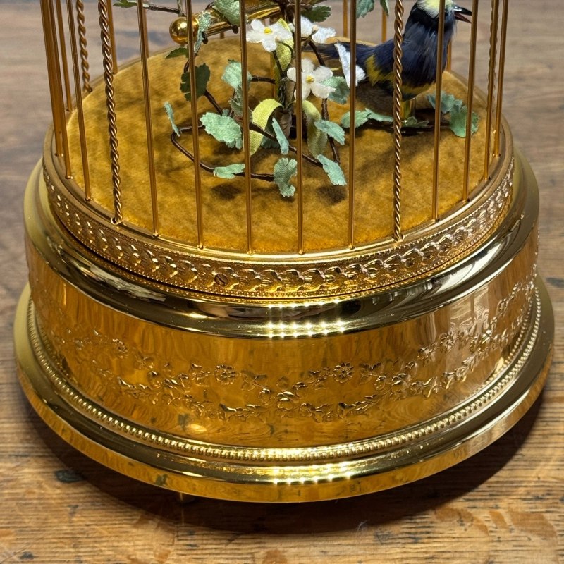 Goldenfinch and blue tit in a Reuge dome cage — 12